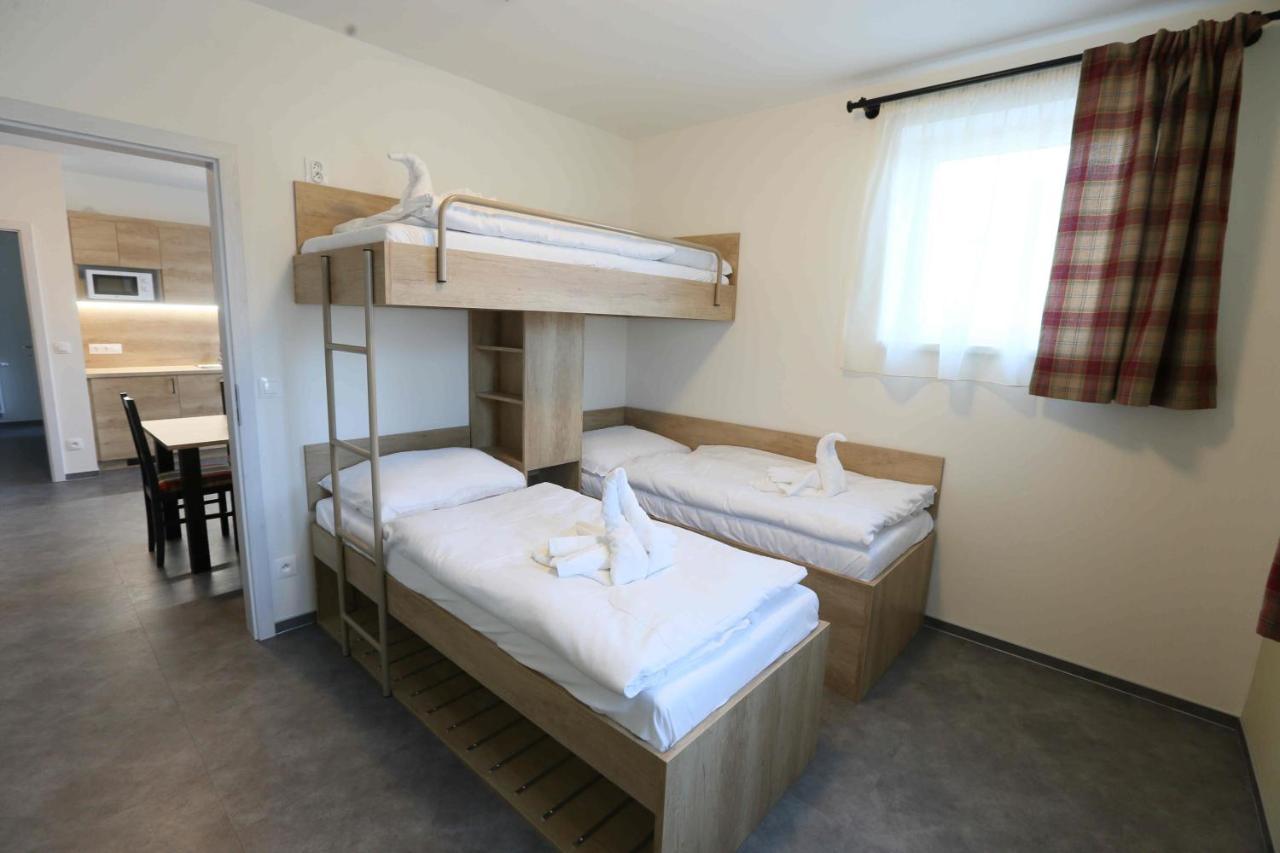 Apartmány AURA Boží Dar Exterior foto